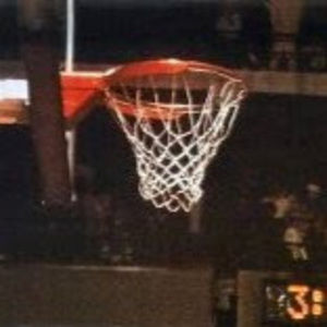 Meet your Posher, Brady